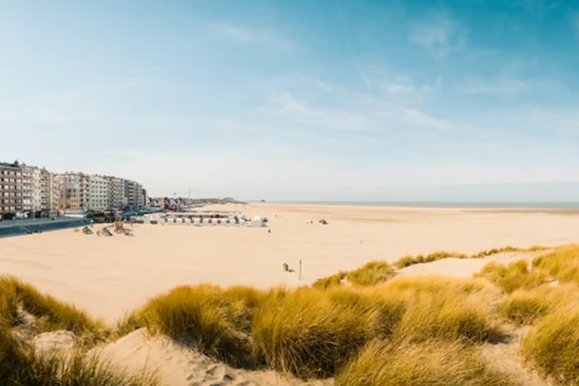 mariage sur la cote de la belgique